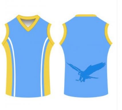 SUBLIMATED AFL JUMPER