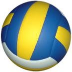 Volley Balls
