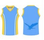 SUBLIMATED AFL JUMPER