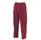 CUT N SEWN CRICKET PANT